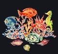Watercolor vintage sea life natural greeting card Royalty Free Stock Photo