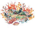 Watercolor vintage sea life natural greeting card Royalty Free Stock Photo