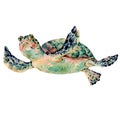 Watercolor vintage sea turtle natural greeting card Royalty Free Stock Photo