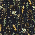 Watercolor vintage seamless pattern of Capsella Bursa-Pastoris Meadow Flowers