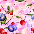Watercolor, vintage, seamless pattern - plum branch, cherry berry, leaf. Sprig plums with leaves Royalty Free Stock Photo