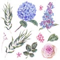 Watercolor vintage set floral elements, roses, lilac, blue hydrangea and wildflowers