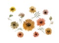 Watercolor vintage set of flowers