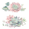 Watercolor vintage succulents bouquet