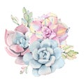 Watercolor vintage succulents bouquet