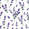 Watercolor violet lavender seamless vector print