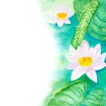 Watercolor water lillies background Royalty Free Stock Photo