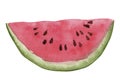 Watercolor watermelon slice with seeds isolated on white background. Watercolor hand drawn illustration in realistic style. Royalty Free Stock Photo