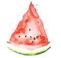 Watercolor watermelon. Watercolor drawing, Red piece, a slice of watermelon. Vintage illustration, greeting card,logo. Tropical Fr Royalty Free Stock Photo