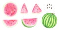 Watercolor Watermelons Set