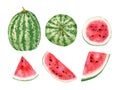 Watercolor watermelons set. Summer sweet red berry, berries slises, bright colors for textile and decor