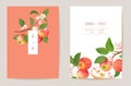 Watercolor wedding apple floral invitation. Autumn fruits, flowers, leaves card. Botanical Save the Date Royalty Free Stock Photo