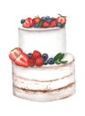Watercolor wedding cake. Hand drawn illustration on white background . Perfect for invitation, wedding or greeting cards