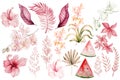 Watercolor wedding pink tropical set with Exotic flowers hibicsus, orchid, watermalon and leaves.