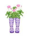 Watercolor wellies with flowers illustration in provence style. Rubber boots. Bouquet of flowers.