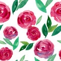 Watercolor wet roses on white seamless pattern. Royalty Free Stock Photo