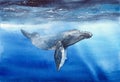 Watercolor whale in the deep blue sea