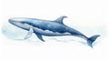 Stunning Watercolor Illustration Of A Blue Whale