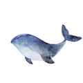 Watercolor whale illustration. Cute marine animal drawing in watercolor style. Sea whale isolated element. Royalty Free Stock Photo