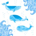 Watercolor whales set.