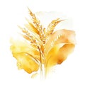 Watercolor wheat ears. Hand drawn illustration isolated on white background. AI Generated