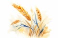 Watercolor Wheat ears on white background. Generative ai illustration of gold wheat ear