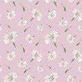 Watercolor white alstroemeria seamless pattern