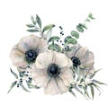 Watercolor white anemone bouquet. Hand painted flower, eucalyptus leaves and juniper isolated on white background