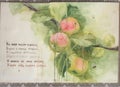 Illustrations and cliparts, Watercolor illustration of an apple tree branch