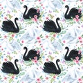 Watercolor white and black swan lake seamless pattern. Beautiful birds with flowers, leaves, berries on white background Royalty Free Stock Photo