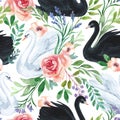 Watercolor white and black swan lake seamless pattern. Beautiful birds with flowers, leaves, berries on white background Royalty Free Stock Photo