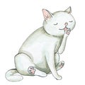 Watercolor white cat licks