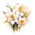 Watercolor White Daffodils: Detailed Realism With Powerful Symbolism