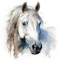 Watercolor White Horse Head Clipart on White Background AI Generated Royalty Free Stock Photo
