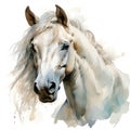 Watercolor White Horse Head Clipart on White Background AI Generated Royalty Free Stock Photo