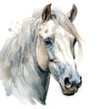 Watercolor White Horse Head Clipart on White Background AI Generated Royalty Free Stock Photo