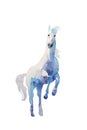 Watercolor white horse jumping on back legs painted in blue colors, isolated on white background Royalty Free Stock Photo