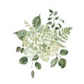 Spring floral bouquet illustration. Watercolor painting of white hydrangea flowers and green leaves