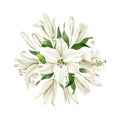 Watercolor white lilies single round composition isolated on white background