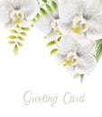 Watercolor white orchid flowers greeting card Royalty Free Stock Photo