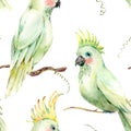 Watercolor white parrot seamless pattern. Vintage floral texture