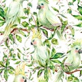 Watercolor white parrot summer seamless pattern with flowers