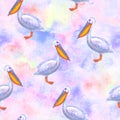 Watercolor blue navy hand drawn pelican seamless pattern