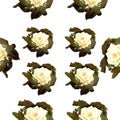 Watercolor white roses pattern