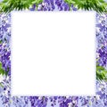 watercolor white square frame with branch of wisteria blossom flowers, hand drawn illustration with spring lilac flowers