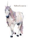 Watercolor white unicorn with rainbow hair. Hand painted magic horse isolated on white background. Fairytale character