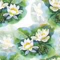 Watercolor white water-lilly flowers seamless pattern with frog on pond