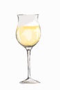 Watercolor white wine glass. Royalty Free Stock Photo