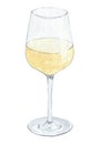 Watercolor white wine glass isolated on white background Royalty Free Stock Photo