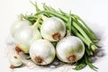 watercolor whole onion isolated on white . AI Generated